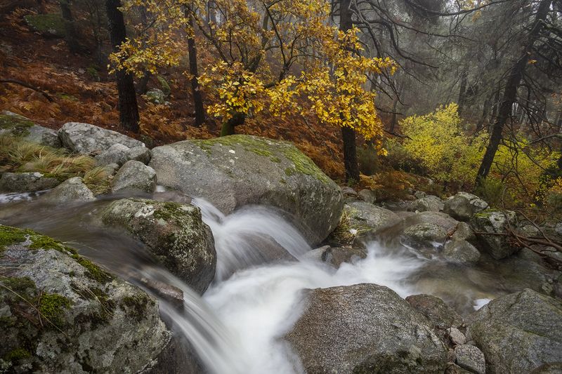 photography, mountain, autumn, flower, landscape, photo, awakening, flowers, land, landmark, lands, dramatic ligth, ligth, mountains Primevalphoto preview