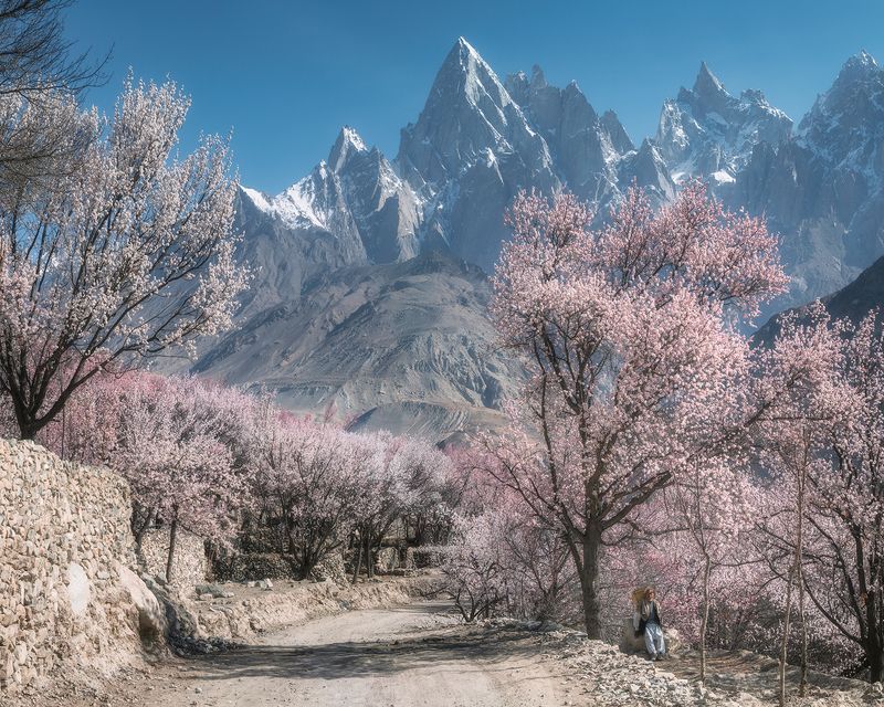 Pakistanphoto preview