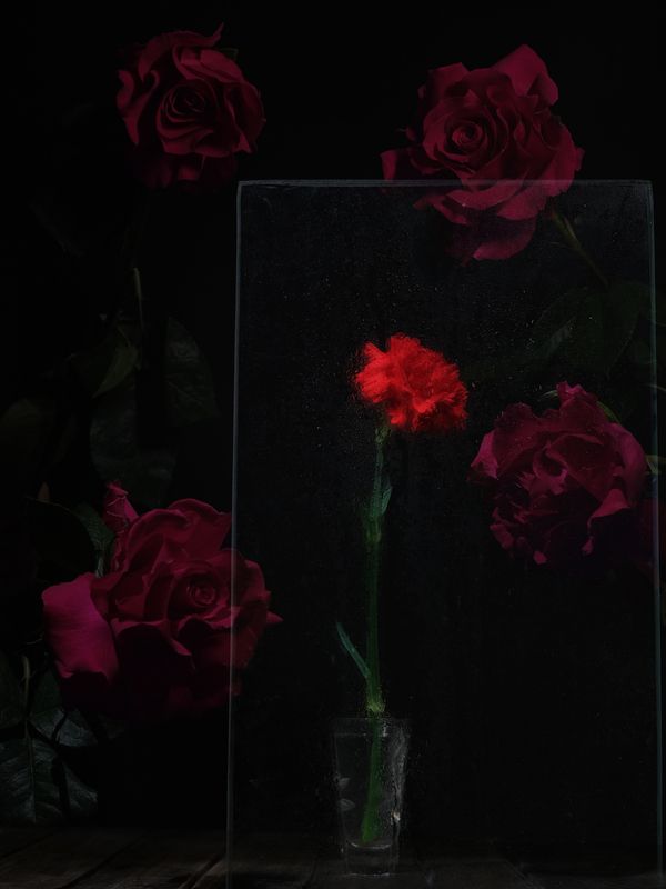 Воспоминания photo preview