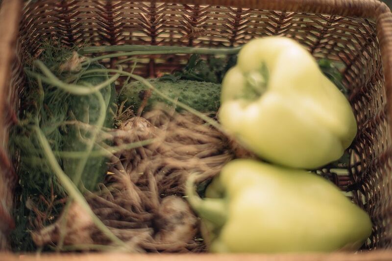 Болгарский перец огурцы кабачки помидоры Партия Зелёныхphoto preview