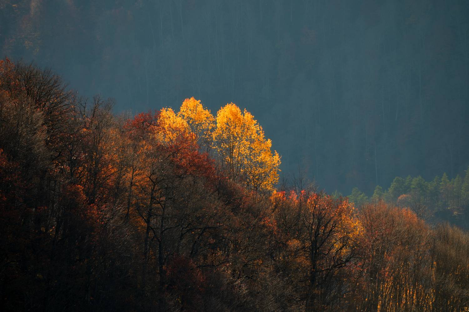 , Сергей Тихомиров