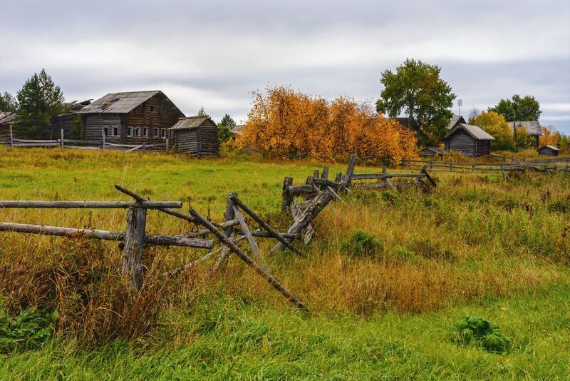 осень, сентябрь, деревня, пинега, дома, амбары, забор, заборчик, трава, деревья, кусты, заросли Уходящее...photo preview