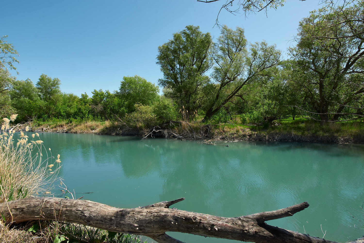 Речка Голубая на меловых горах. Автор: Павел Сторчилов меловые горы, речка голубая, волгоград, россия., Павел Сторчилов
