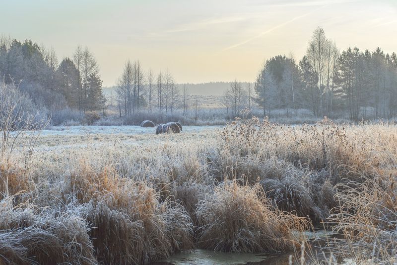 утро туман иней пойма речка суворощь валки Посеребрило.photo preview