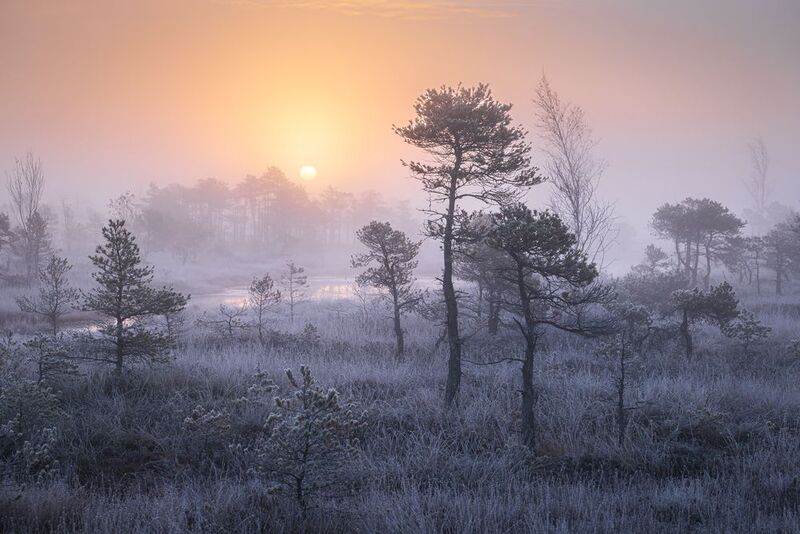 Холодный рассветphoto preview