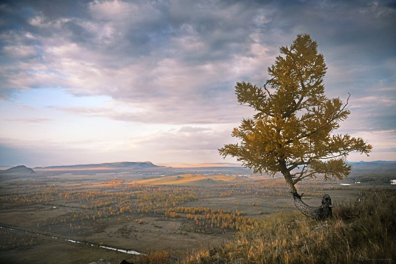 Осень в Хакасииphoto preview