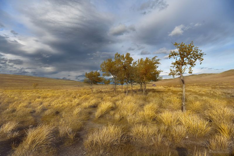 Осень в Хакасииphoto preview