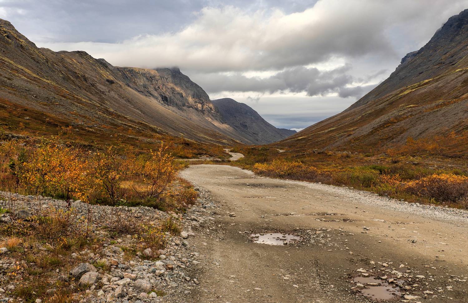 , Александр Смыков