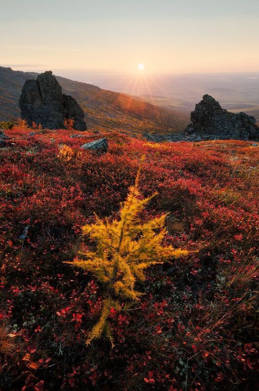 Северный Урал, Урал, Серебрянка, Серебрянский камень, Конжак, Конжаковский камень Осень на Северном Уралеphoto preview