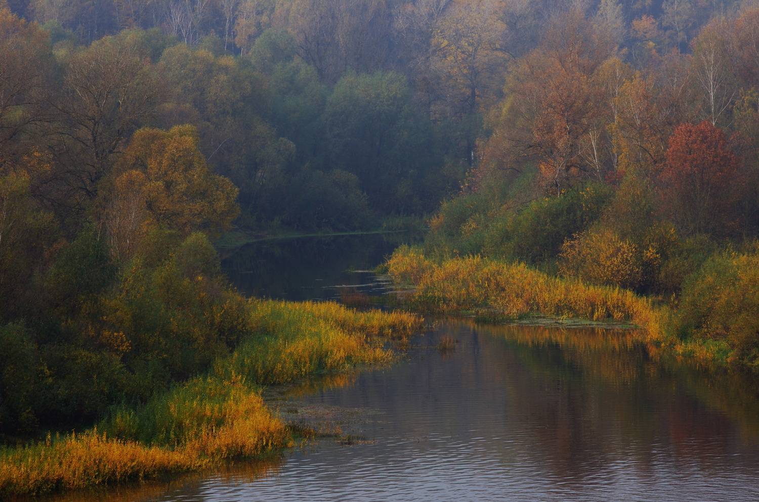 Осенний пейзаж. Автор: Шляга Сергей , Шляга Сергей