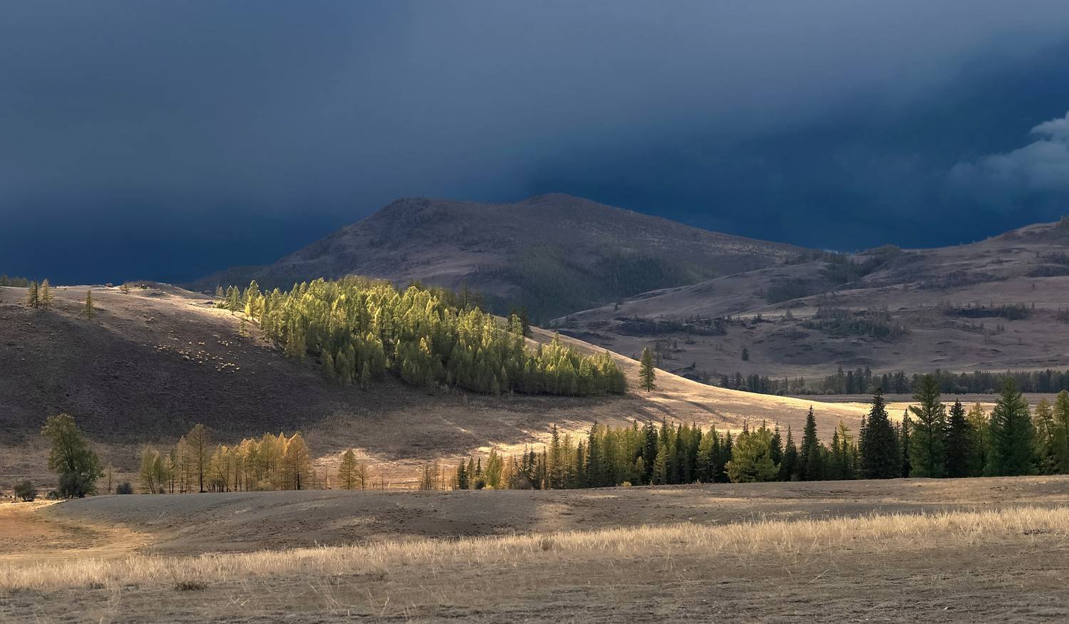 алтай, вечер, непогода, Марина Фомина