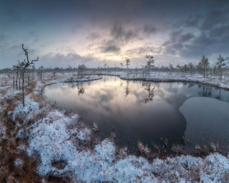 болото, ленобласть, ноябрь, рассвет ***photo preview