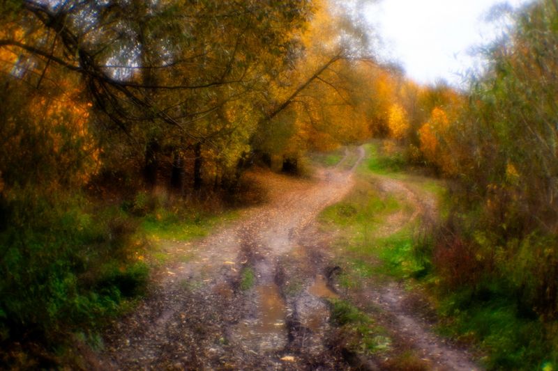 Распутицаphoto preview