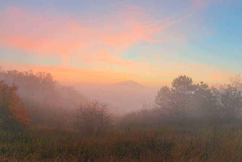 туман,утро,рассвет,пейзаж,ноябрь В розовом тумане ноябряphoto preview