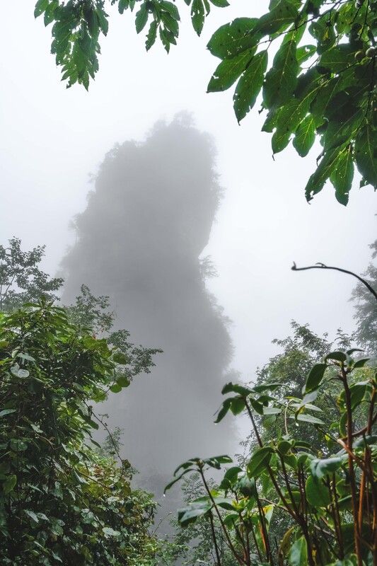 Завораживающий мир каменных Исполинов Чжанцзяцзе… The fascinating world of the stone Giants of Zhangjiajie...photo preview