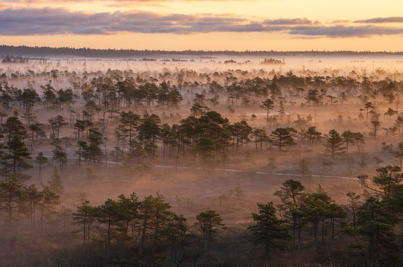 Осенним утромphoto preview