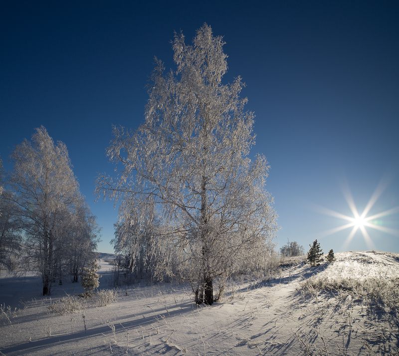 снежнаяphoto preview