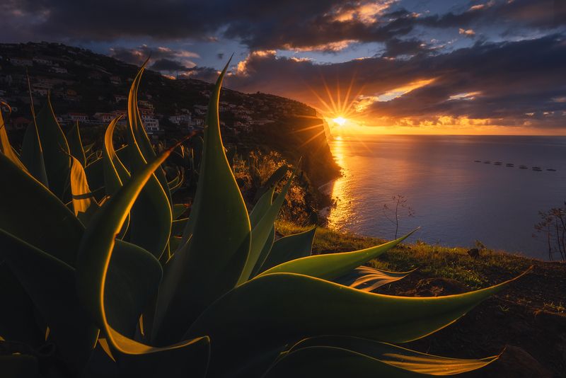 Madeira sunrisephoto preview