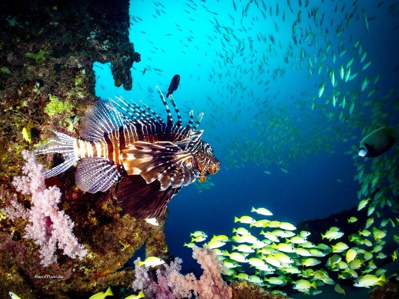 Круг жизниphoto preview