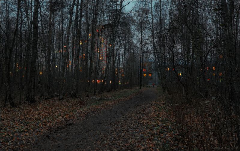 Субботний вечер в ноябреphoto preview