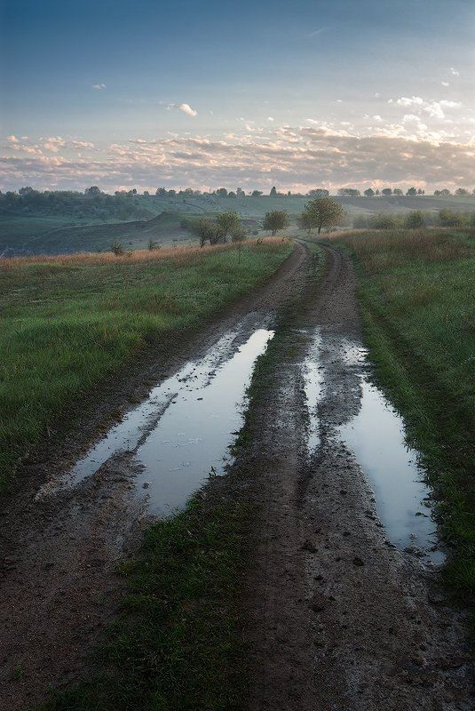 Май, Свежесть, Утро Легкое дыханиеphoto preview
