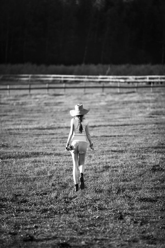 Summer fieldphoto preview