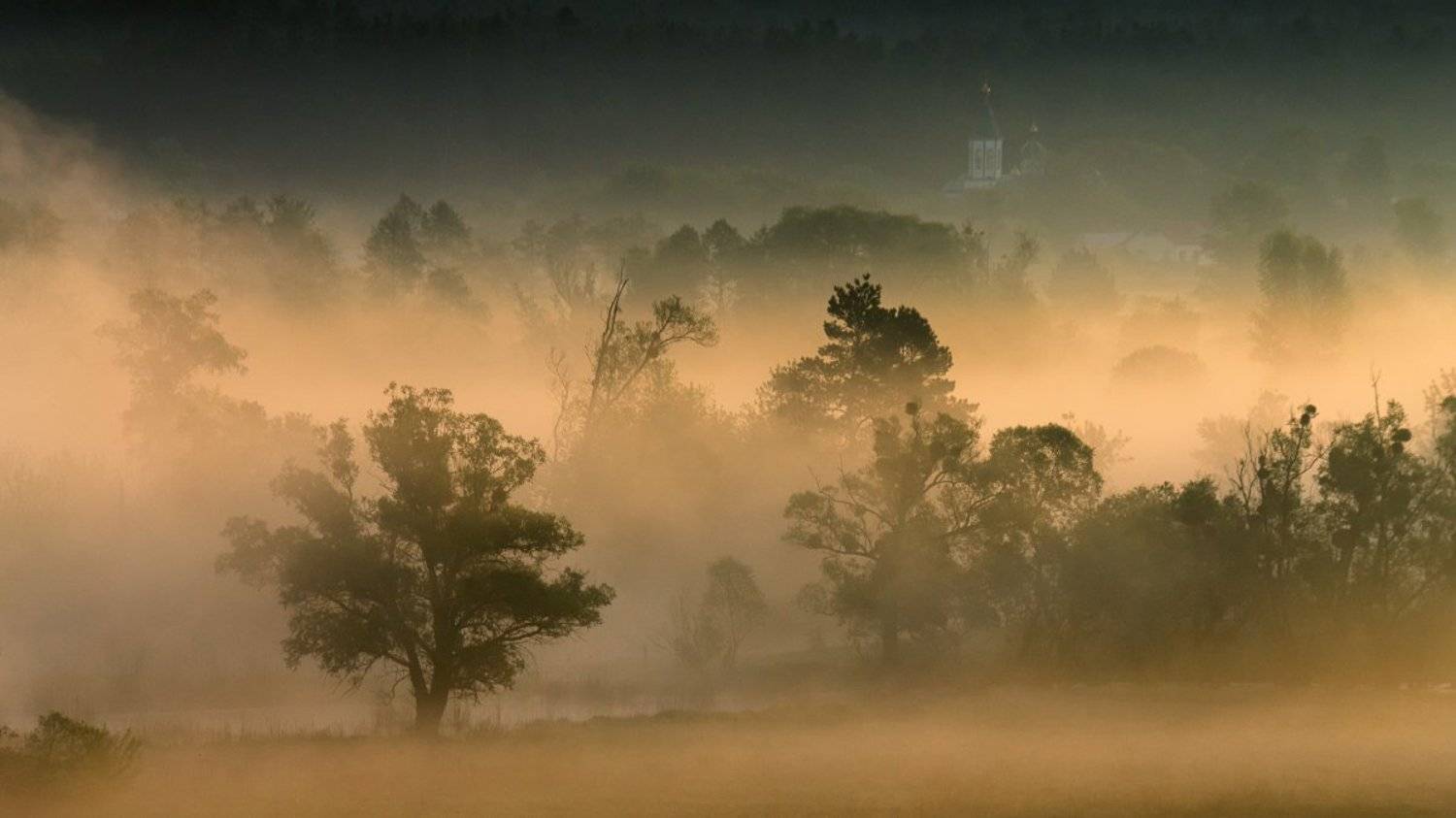 . . .. Автор: Алексей Аргентум , Алексей Аргентум