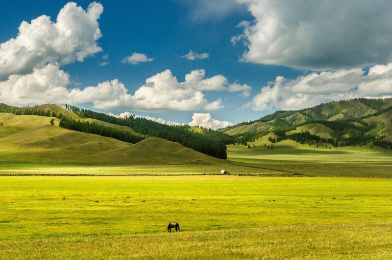 Алтайский просторphoto preview