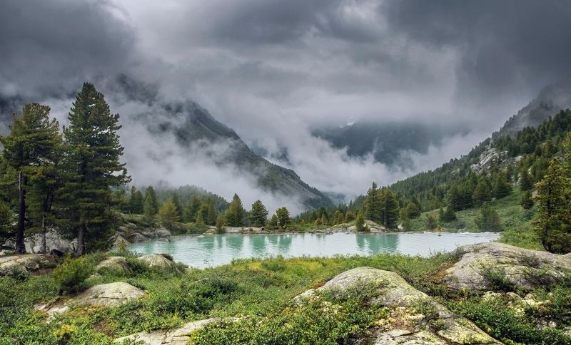 Дарашколя волшебный мирphoto preview