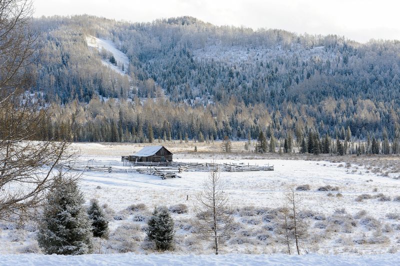 Зима, горы, Алтай, заимка Домик в горахphoto preview
