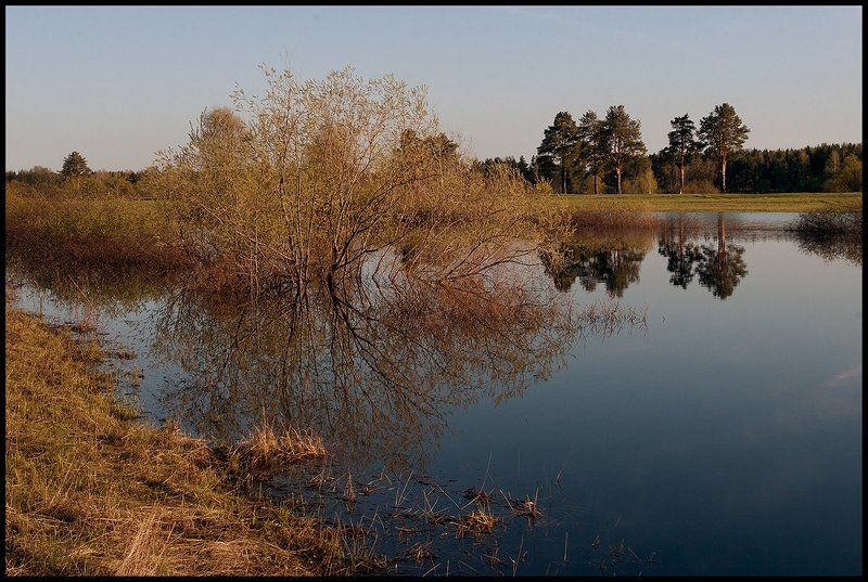 ************photo preview