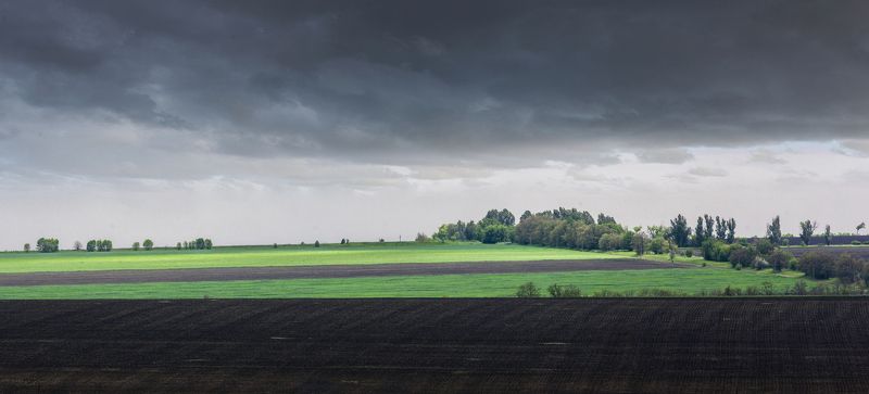 Украина, степь, природа, весна, облака, поля, утро,  Геометрия природыphoto preview