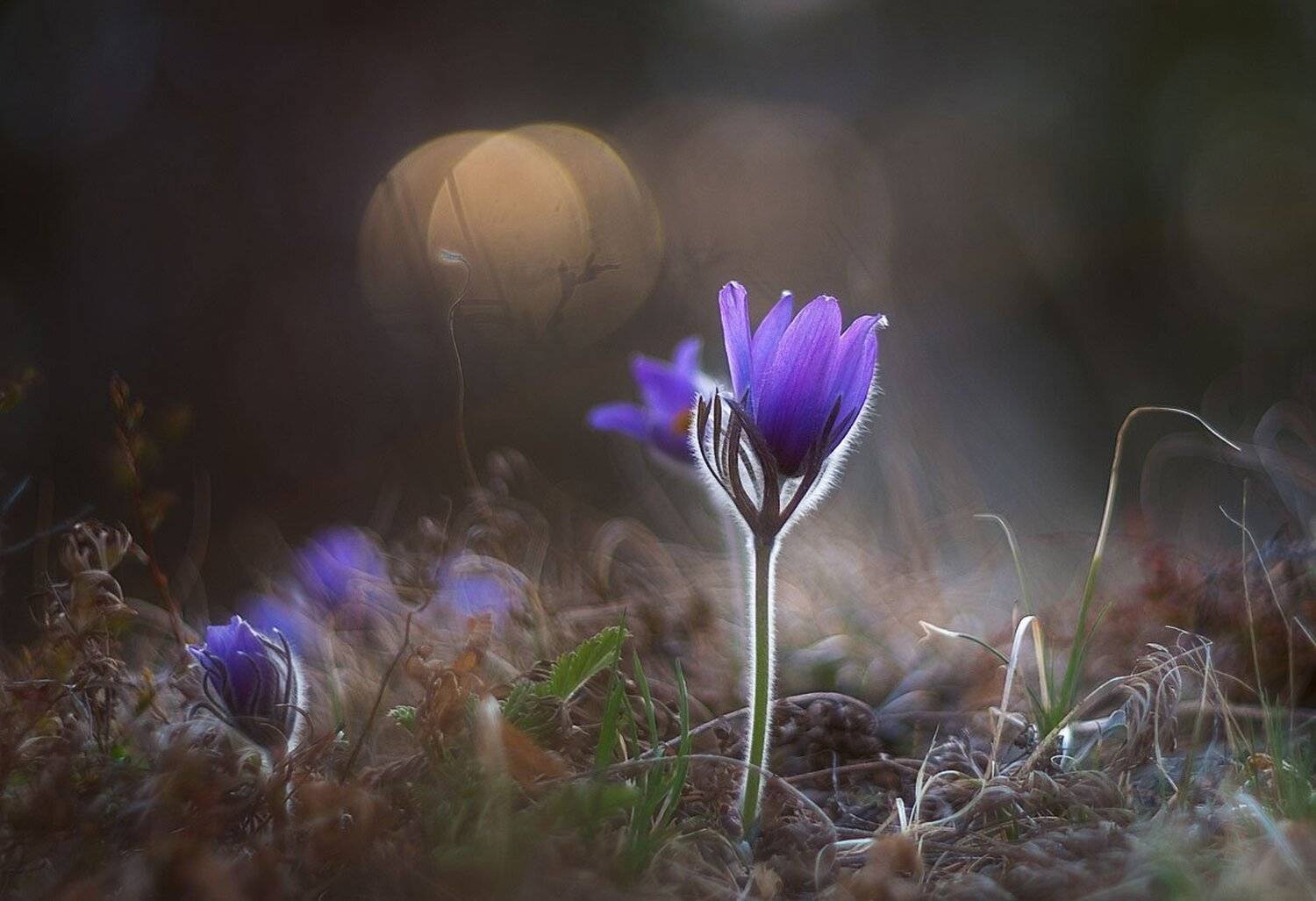 , Сергей Брагин