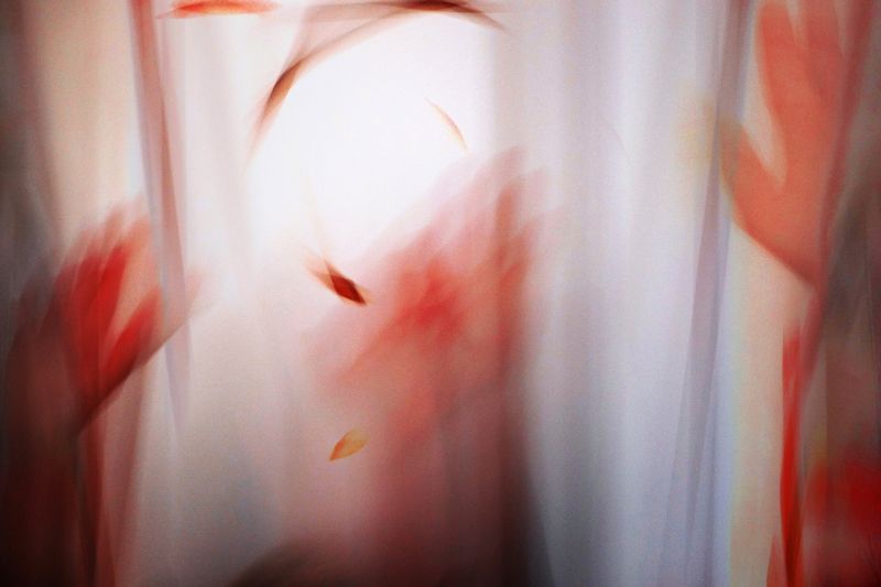 The Soul Exposures Iphoto preview