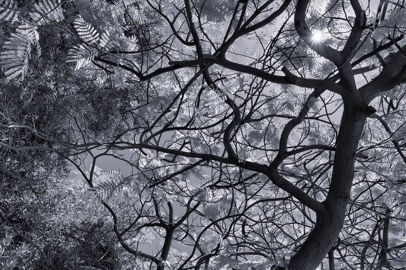 линии, пятна, природа, арт, свет ***photo preview