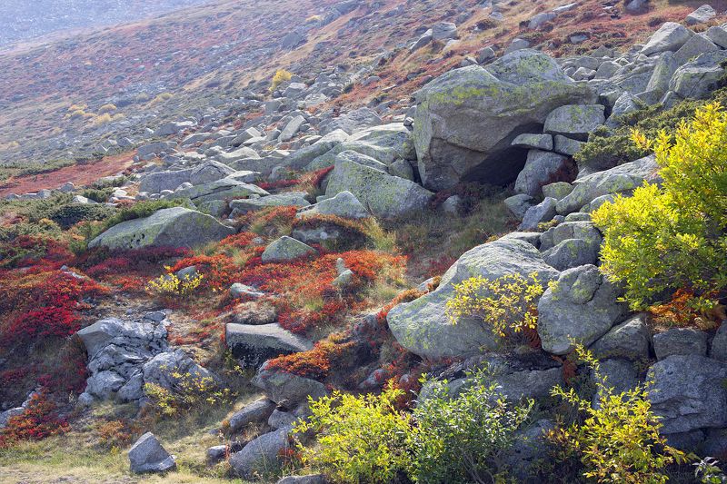 Red Carpet of the Mountainphoto preview