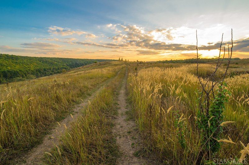 Sunset, Landscape, Nature, Russia, Закат, Дорога Дорога на Ведьмином холмеphoto preview
