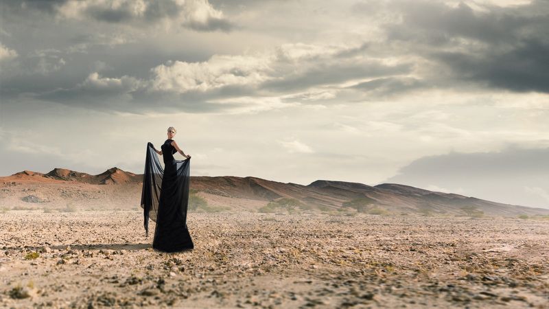 Desert Rosephoto preview