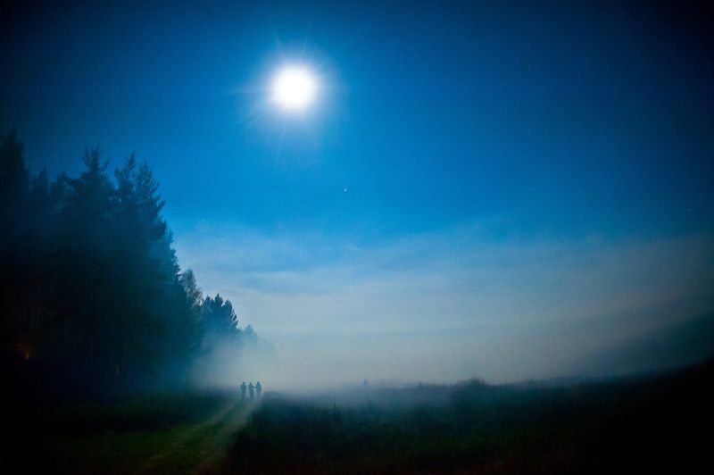 Пустые холмыphoto preview