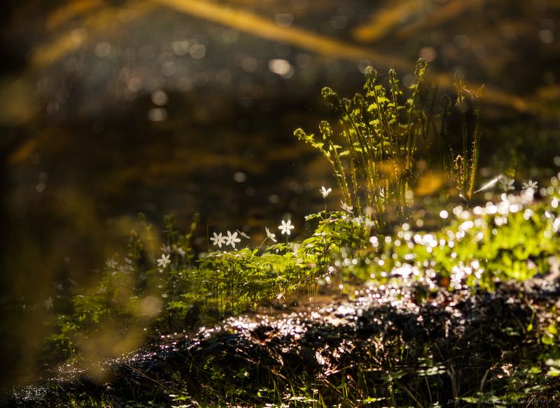 В отражение фото превью