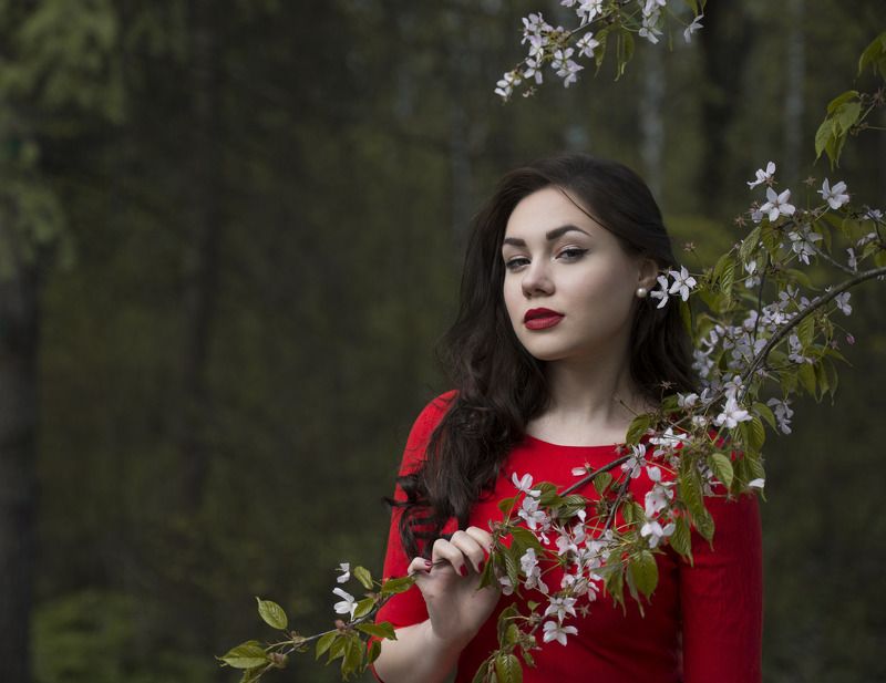 Сакураphoto preview