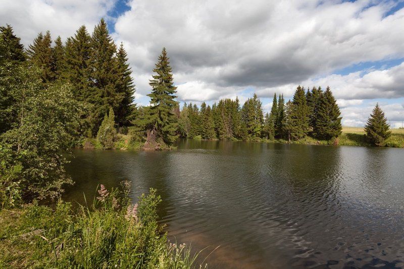 Озеро лес трава облака лето Уголок лесного озераphoto preview