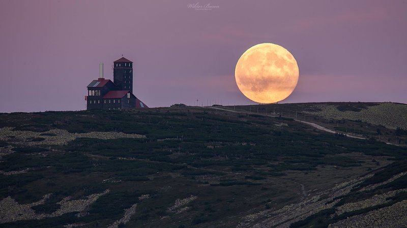 Pełniaphoto preview