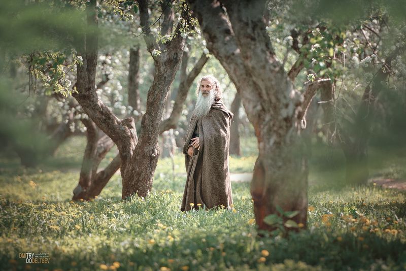 #яблони #коломенское #старец #лес #портрет #прогулка #борода #толстой #персонаж Старецphoto preview