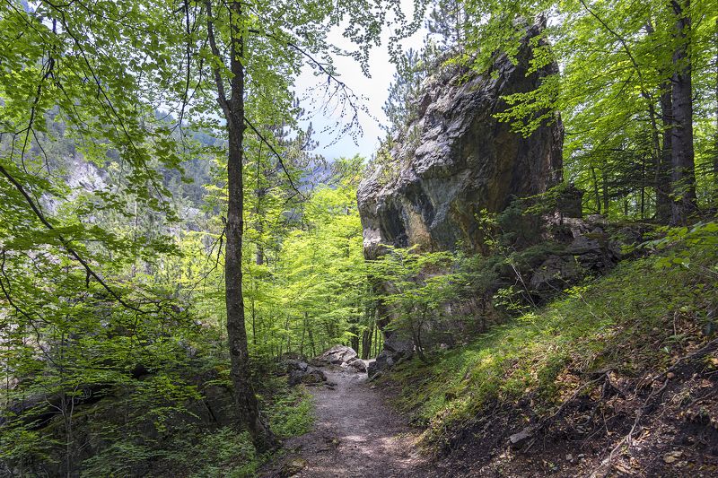 The Passagephoto preview