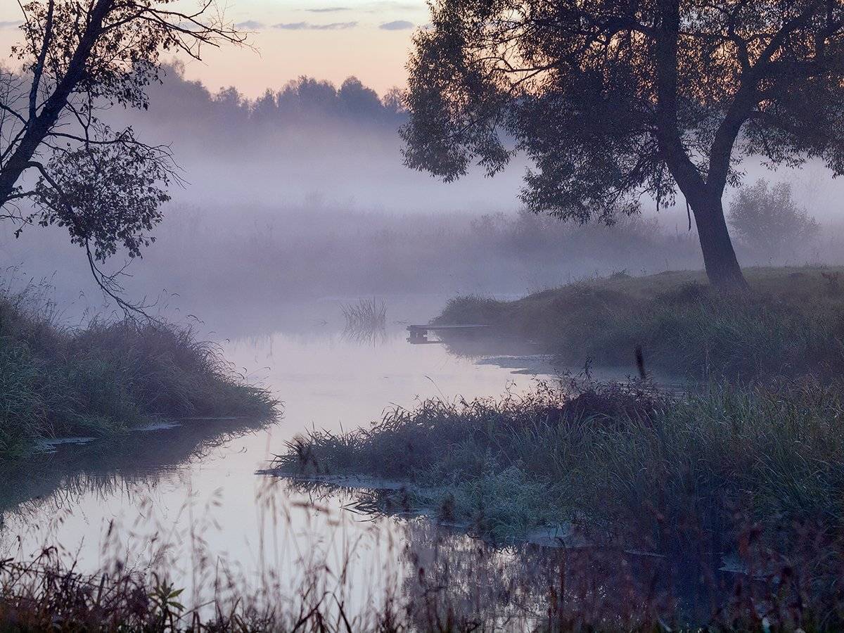 , Владимир Перепечаев