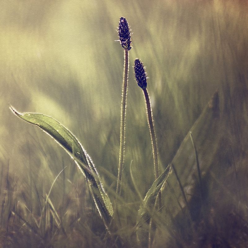 •••photo preview