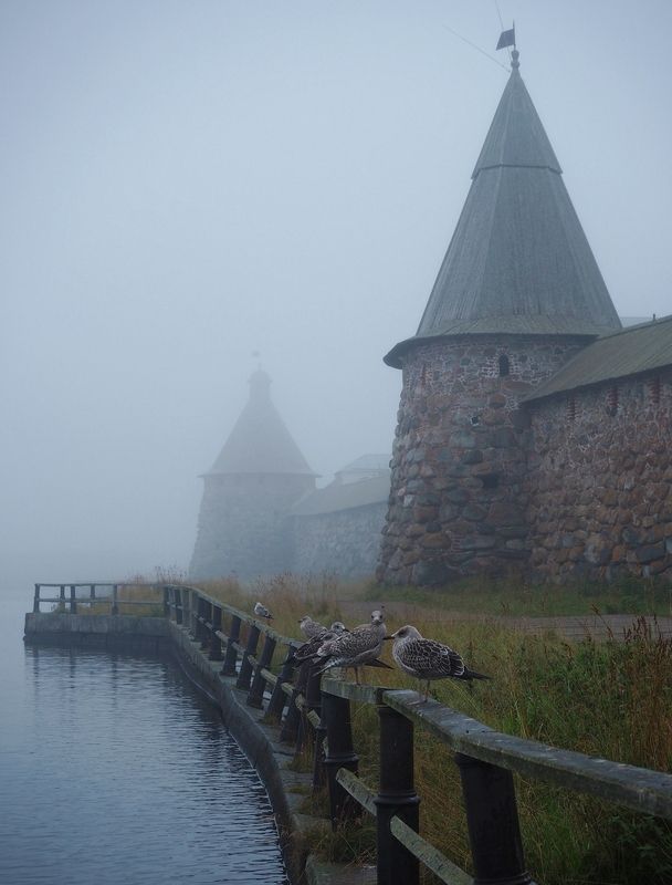 Утро туманное фото превью