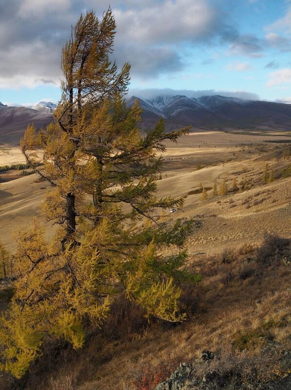 На Алтае фото превью