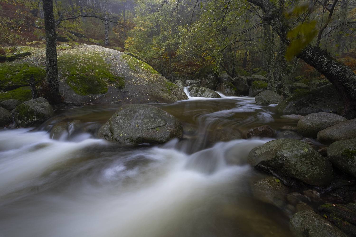 photography, mountain, autumn, flower, landscape, photo, awakening, flowers, land, landmark, lands, dramatic ligth, ligth, mountains, jimenez millan samuel